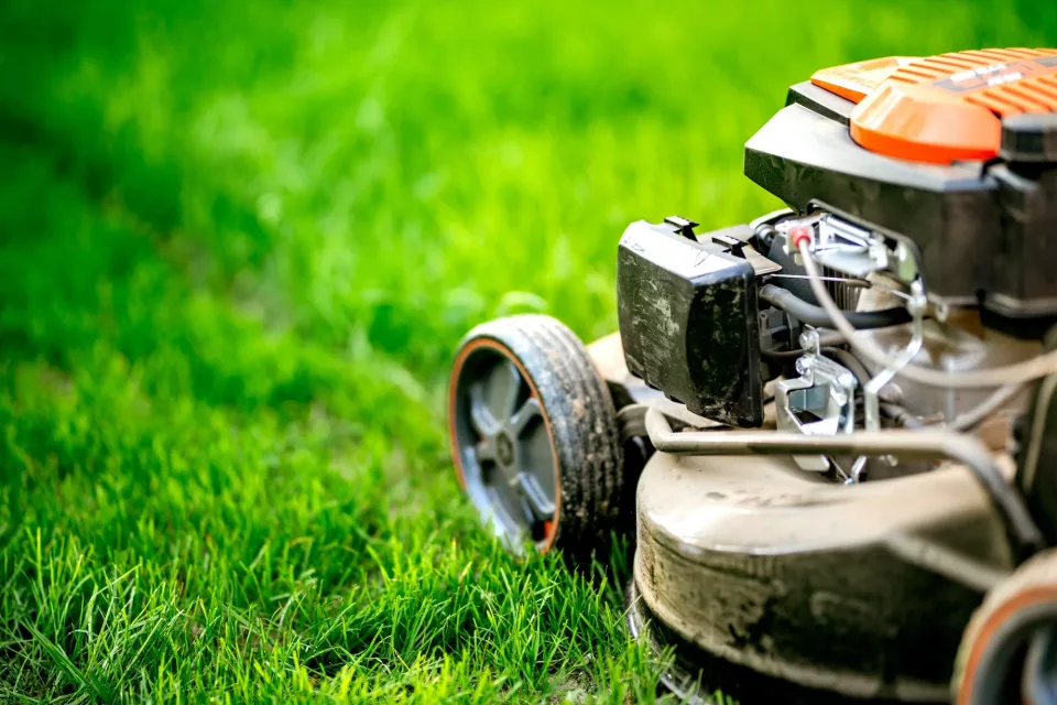 Garden maintainance details - close up view of grass mower