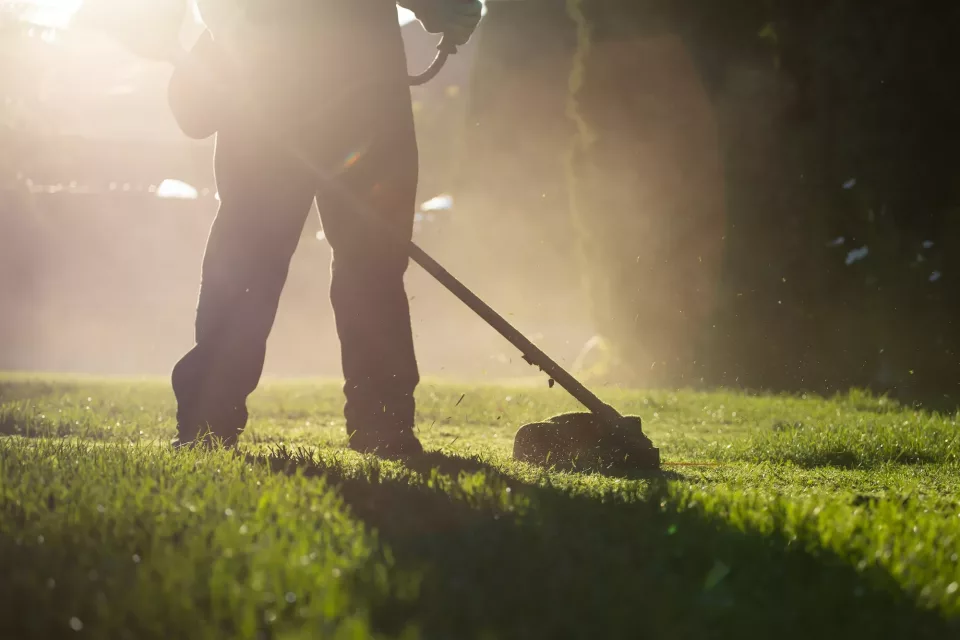 Lawn mover on green grass. Machine for cutting lawns.